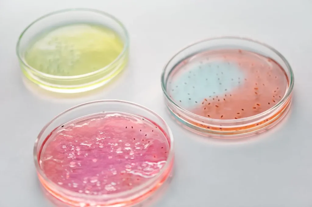 What Equipment is Used in a Microbiology Lab